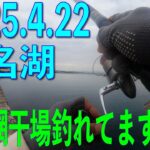 かなり進歩したと思います。浜名湖でのメジナ釣り　ここから浜名湖網干場はキス、ヒラメ、マゴチ、アジと賑わってきます。昨年は動画とってなかったですがヒラメ77と74　マゴチ同じ日に50オーバー6匹　尺アジ