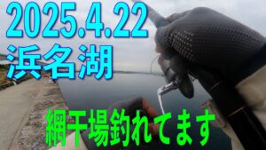 かなり進歩したと思います。浜名湖でのメジナ釣り　ここから浜名湖網干場はキス、ヒラメ、マゴチ、アジと賑わってきます。昨年は動画とってなかったですがヒラメ77と74　マゴチ同じ日に50オーバー6匹　尺アジ