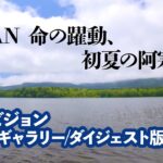 釣りビジョン フライギャラリー「AKAN 命の躍動、初夏の阿寒湖」 ダイジェスト版