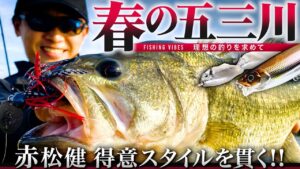 【五三川】赤松健 得意のスタイル「AKチャター・ギルギル」で春バスにアジャスト！【Fishing Vibes】