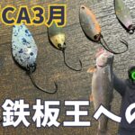 【足柄CA】鉄板王プラ！釣れたスプーンはこれだ！【エリアトラウト　管理釣り場　管釣り フォルテ  デイジー シャースフィー ブラインドフランカー】