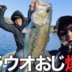 【上野沼】でバス釣りしてたらシラウオおじ爆誕。DBユーマでシラウオパターン成立？