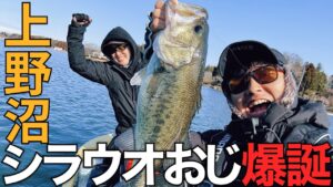 【上野沼】でバス釣りしてたらシラウオおじ爆誕。DBユーマでシラウオパターン成立？