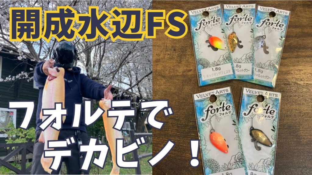 【開成水辺FS】関東屈指の難エリアをフォルテで攻略！【#開成水辺フォレストスプリングス #エリアトラウト #管釣り #管理釣り場 #フォルテ #スプーン #ベルベットアーツ 】
