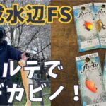 【開成水辺FS】関東屈指の難エリアをフォルテで攻略！【#開成水辺フォレストスプリングス #エリアトラウト #管釣り #管理釣り場 #フォルテ #スプーン #ベルベットアーツ 】
