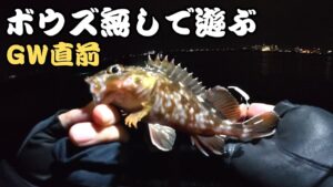【浜名湖】GW直前・・・夜の海釣り公園は無限に釣れます