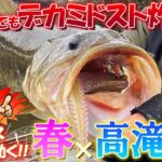 GoPro釣果便!!『春×高滝湖 関東でもデカミドスト炸裂?!』江口俊介/ゆたかボーイ