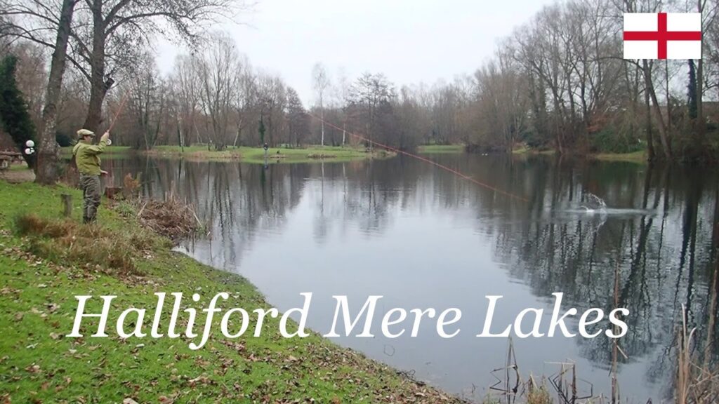 Halliford Mere Lakes  ロンドン近郊の手軽にける管理釣り場です。フライ、ルアーでニジマス、パイク、パーチが狙えます。