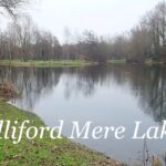 Halliford Mere Lakes  ロンドン近郊の手軽にける管理釣り場です。フライ、ルアーでニジマス、パイク、パーチが狙えます。