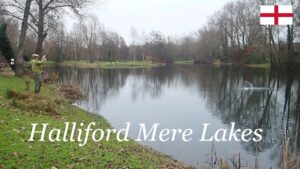 Halliford Mere Lakes ロンドン近郊の手軽にける管理釣り場です。フライ、ルアーでニジマス、パイク、パーチが狙えます。