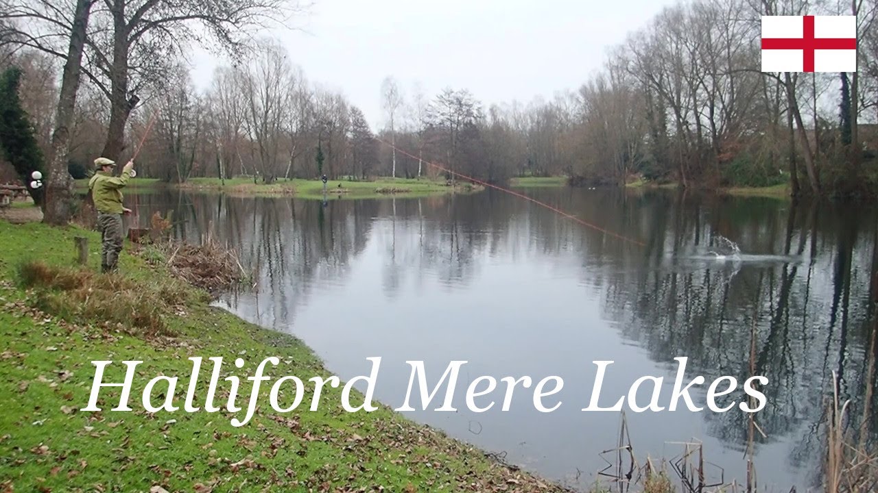Halliford Mere Lakes ロンドン近郊の手軽にける管理釣り場です。フライ、ルアーでニジマス、パイク、パーチが狙えます。