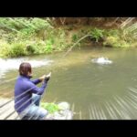 管理釣り場で使うフライはこのひとつだけでOK　一日中釣れ続けるフライは〇〇　【高萩ふれいあの里フィッシングエリア】　ツリアメ　＃管理釣り場で釣れるフライ　＃高萩ふれあいの里フィッシングエリア