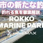 【神戸の新たな釣り場】六甲マリンパークがOPEN決定！釣れる魚を徹底解説！高級魚・明石のブランド真鯛をカゴ釣りで狙います。あの爆釣ポイントが釣り公園に！4月25日からオープンです！！
