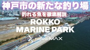 【神戸の新たな釣り場】六甲マリンパークがOPEN決定!釣れる魚を徹底解説!高級魚・明石のブランド真鯛をカゴ釣りで狙います。あの爆釣ポイントが釣り公園に!4月25日からオープンです!!
