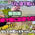 【OSP MMZ】びん沼バス釣り❗️春のセコ釣り🌸✨なんとしても釣りたいあなたへ‼️バスの釣り方