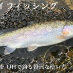 SA OH&Dの雑〜なインプレなど #フライフィッシング  #エリアトラウト #flyfishing