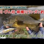 荒川、びん沼、柳瀬川ランガン釣行【実釣動画】釣行Vlog 2025/3/27@usbaits #荒川 #びん沼 #柳瀬川 #荒川バス釣り #柳瀬川バス釣り #バスフィッシング #川スモール