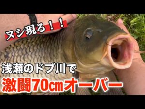 【大物釣り】子供がいない昼、父ちゃん本気のヌシ狙い!ミミズ一匹で釣れた奇跡の野鯉!コイ釣り・鯉釣り・浮き釣り・ドブ川・コイ・鯉・川・釣り・ミミズ・魚・春・亀・アカミミガメ・carp・Fishing