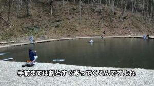 頂鱒がどれぐらい引くのか、実際のファイトシーンをノーカットでお見せします。／あいづフィッシングエリア #エリアトラウト #fishing #釣り #アウトドア #釣り堀 #管理釣り場