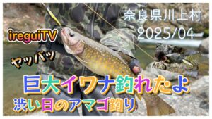 【渓流釣り】奈良県川上村で主みたいなでっかいイワナ釣れました。アマゴ釣ってたらニホンカモシカやってきたhttps://youtu.be/4fc-stxMaew入れ食いTV　ireguiTV