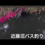 レゼルブjr  ！！水面炸裂！！近藤沼バス釣り　bass fishing
