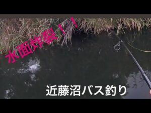 レゼルブjr  ！！水面炸裂！！近藤沼バス釣り　bass fishing