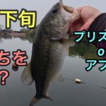 【バス釣り４月下旬】プリスポーンorアフター、どっちを狙う？
