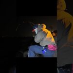 加古川の海でヤバいやつきた #shorts #short #釣り #シーバス