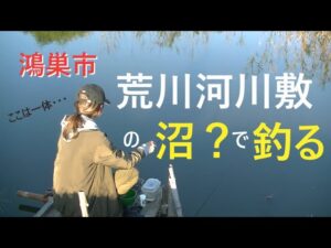 荒川河川敷の沼？で小物釣り【鴻巣市】☆smallfishing in Saitama  Japan☆