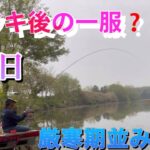 《へらぶな釣り to 川田谷沼》厳寒期の1、3月の方が釣れたし浮きは動いてた😫(今回はジャミ、ギルアタリが出てたのは除いて)