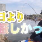《へらぶな釣り to 近藤沼》今日は、モーニングも無し😵周り見てもスレ上げばかり😣型見られればluckyな🤣
