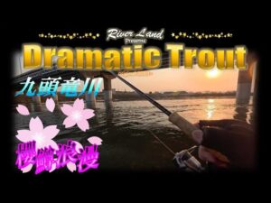 サクラマス浪漫 九頭竜川25年目の宝探し ~ドラマティックトラウト trout fishing japan