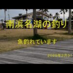 南浜名湖の釣り　魚釣れています