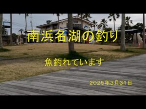 南浜名湖の釣り 魚釣れています