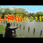 山ノ神沼でウキ釣り。何が釣れるかな？【蓮田市】