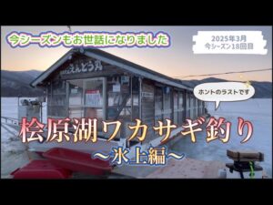 桧原湖ワカサギ釣り #ワカサギ釣り #桧原湖 #釣り #福島県