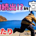 釣り女子が宮城の堤防で大物ゲット‼初めましての〇〇〇も‼