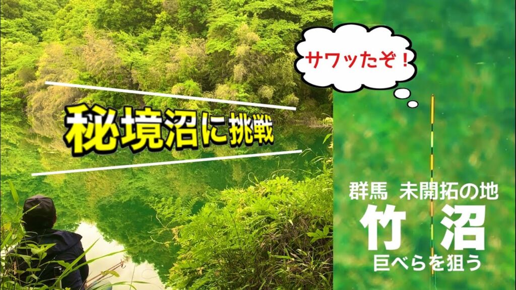 野釣り紀行 群馬の未開拓 竹沼でへらぶな釣り