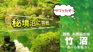 野釣り紀行 群馬の未開拓 竹沼でへらぶな釣り