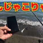 【紀州釣り】生きてる姿を初めて見た！狂暴な顔つきの魚と竿を絞り込む黒鯛（チヌ）【黒鯛釣り】【釣武者】