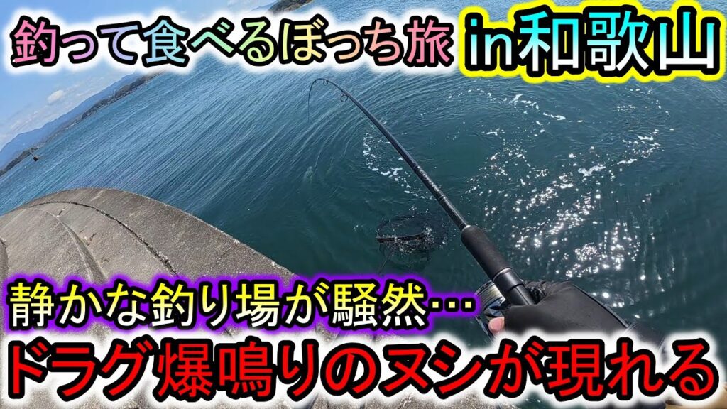 静かな釣り場が騒然…釣り旅最終日にドラグ爆鳴きのヌシが現れた和歌山の海は恐ろしい