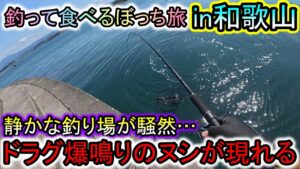 静かな釣り場が騒然…釣り旅最終日にドラグ爆鳴きのヌシが現れた和歌山の海は恐ろしい