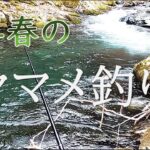 早春のヤマメ釣り