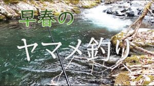 早春のヤマメ釣り