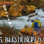 福島【渓流釣り】雪舞う渓に越冬ヤマメ連発…舞う、踊る良き解禁日！【渓流ルアー】