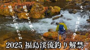 福島【渓流釣り】雪舞う渓に越冬ヤマメ連発…舞う、踊る良き解禁日！【渓流ルアー】