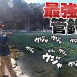 【ニジマス】裾野フィッシングパークを攻略。管理釣り場ハイシーズンで良型トラウト連発。幻の魚、イトウがいる富士山の麓でルアーフィッシングを楽しむ。