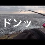 サクラマス釣行 海サクラを求めて日本海へ