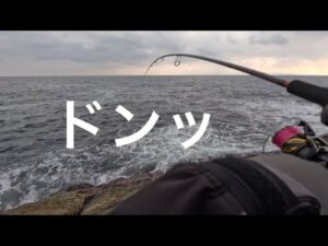サクラマス釣行 海サクラを求めて日本海へ