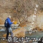 即釣果の考察【渓流ルアー】まさか…隠れヤマメを引き出す|那珂川水系